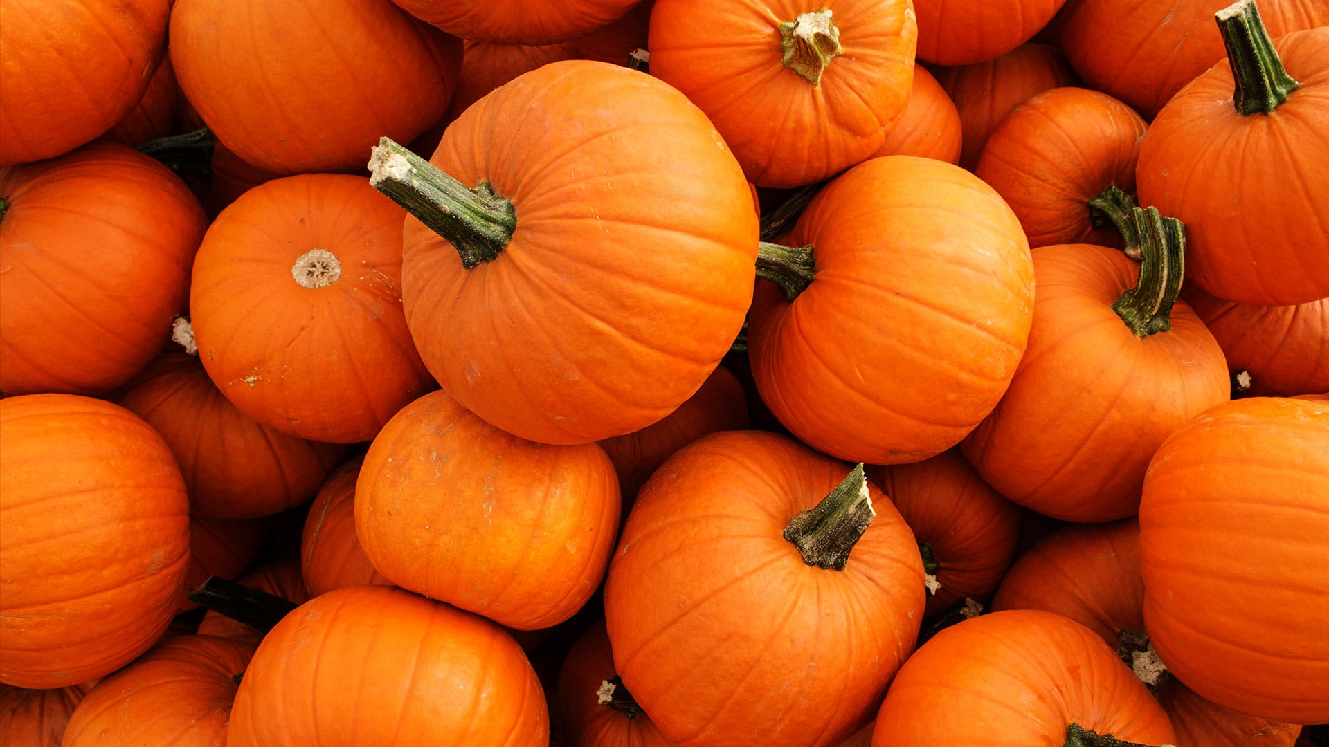 Halloween Süßigkeiten und Kürbis